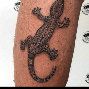• Realism Gecko• #blackcatink #lafincagolf #algorfa #walkinwednesday #gecko #geckotattoo #sorrymom #realismtattoo #tattoostudio #tattooartist #inkedup #lizard  #costablanca #costablancatattoo
