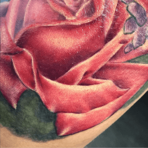 Mega close up of the #realism #rose which is part of a half sleeve #floral piece I'm working on. Thanx Justine. One of my face pieces at the minute :) #tattoo #bestofbritishtattoo #uktta2015 #clairebraziertattoo #phoenixbodyart #shropshire #fusion_ink #worldfamousink #cheyennetattooequipment #hustlebutterdeluxe #wip #igtattoo #totaltattoo #blkpowder