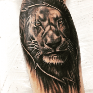 Lion tattoo #jeffinhotattow #liontattoo #leaotattoo #lion #lionhead #tattooleao #tattoolion 