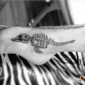 Nº294.1 #tattoo #tatuaje #ink #inked #dolphin #bones #skeleton #skull #blacktattoo #sea #ocean #family #brother #bylazlodasilva
