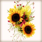 #megandreamtattoo #sunflowers #