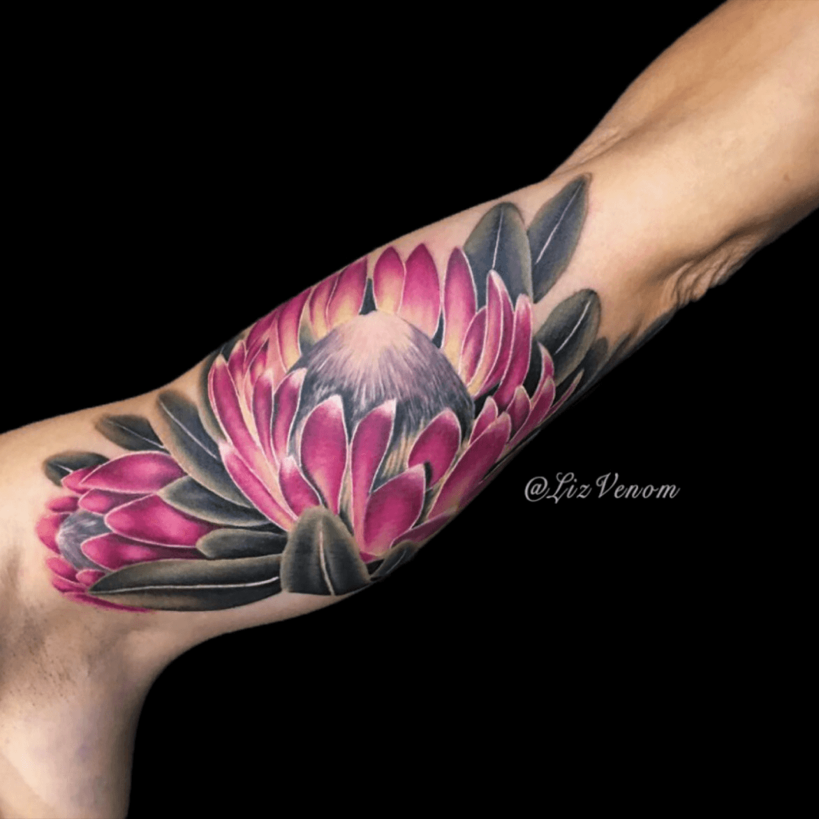 Chrysanthemum Tattoo Images  Free Download on Freepik