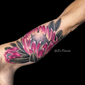 A #protea flower i tattooed#tattoo #ink #tattoos #inked #brisbanetattoo #melbournetattoo #melbournetattoos #edmontontattoo #yegtattoo #tattooed #tattoosforgirls #tattoodo #skinartmag #inkedmag #electrum #neotat #painfulpleasures #neotatmachines #ohanaorganics #heliosneedles #intenzetattooink #lizvenom #beautifultattoos #floraltattoo #floral #proteatattoo #flowers #botanical #vintagebotanical #colour #realistic #amazing #beautiful #feminine #bicep 