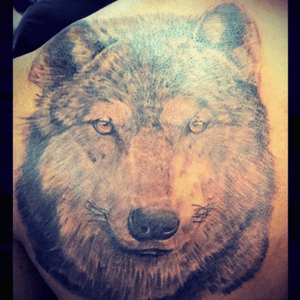 Wolf tattoo 👁🐺 #UpperBackWolfTattoo