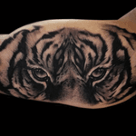 Tattoo by Lance Levine. See more of Lance’s work here: https://www.larktattoo.com/long-island-team-homepage/lance-levine/ #realistictattoo #bng #blackandgraytattoo #blackandgreytattoo #realism #tattoo #tattoos #tat #tats #tatts #tatted #tattedup #tattoist #tattooed #tattoooftheday #inked #inkedup #ink #amazingink #bodyart #tattooig #tattoosofinstagram #instatats #larktattoo #larktattoos #larktattoowestbury #westbury #longisland #NY #NewYork #usa #art #liontattoo #lion #animals #animal #animaltattoo #animaltattoos 