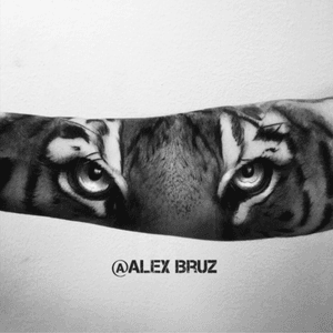 #AlexBruz #tiger #tigereyes #eyes #animal 