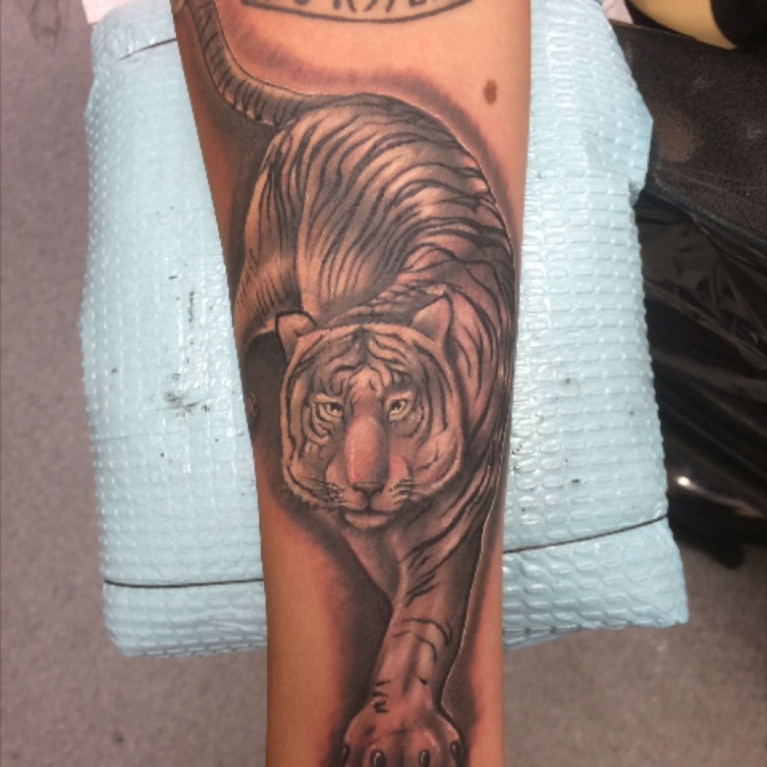 Living Canvas Tattoo • Tattoo Studio • Tattoodo