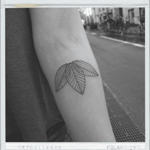 #leaf #leaftattoo #releaf #tattoo #tattoos #cleantattoos #fineline #finelinetattoo #ink done at @kbhkink tattoo studio 