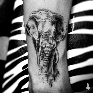 Nº276 (first session) #tattoo #tatuaje #ink #inked #elephant #elephanttattoo #pride #power #dignity #royalty #happines #longevity #goodluck #blacktattoo #eternalink #cheyennetattooequipment #hawkpen #bylazlodasilva