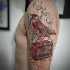 Bird 🎨@phetattooistTrue Rise TattooRua Cavour, 271 - sala 03, Vila Prudente - SP