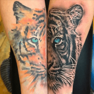 Both halves of my #tiger the #watercolor is about a year old. Artist: Holly Johnson @ Danny's Tattoo Collective in Nottingham England