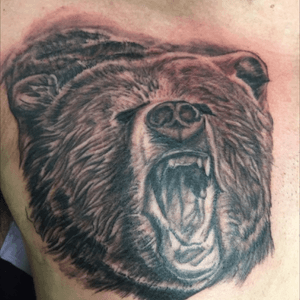 Realistic Bear portrait by Justin Lanouette First pass client stoped and didn't come back for touchups.
