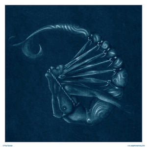 #mermaid #bondage 