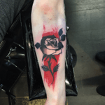 #rose tattoo #graphictattoo #evenmoreblack #darktrashtattoo 