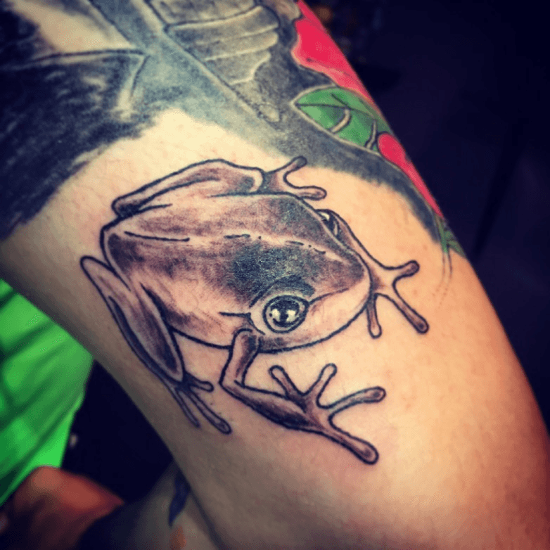 Lucky Bamboo Tattoo on Twitter Leah worked on this Coqui frogs are found  on a number of islands throughout the Caribbean but only the ones in Puerto  Rico sing colortattoo utahtattoo guyswithtattoos 