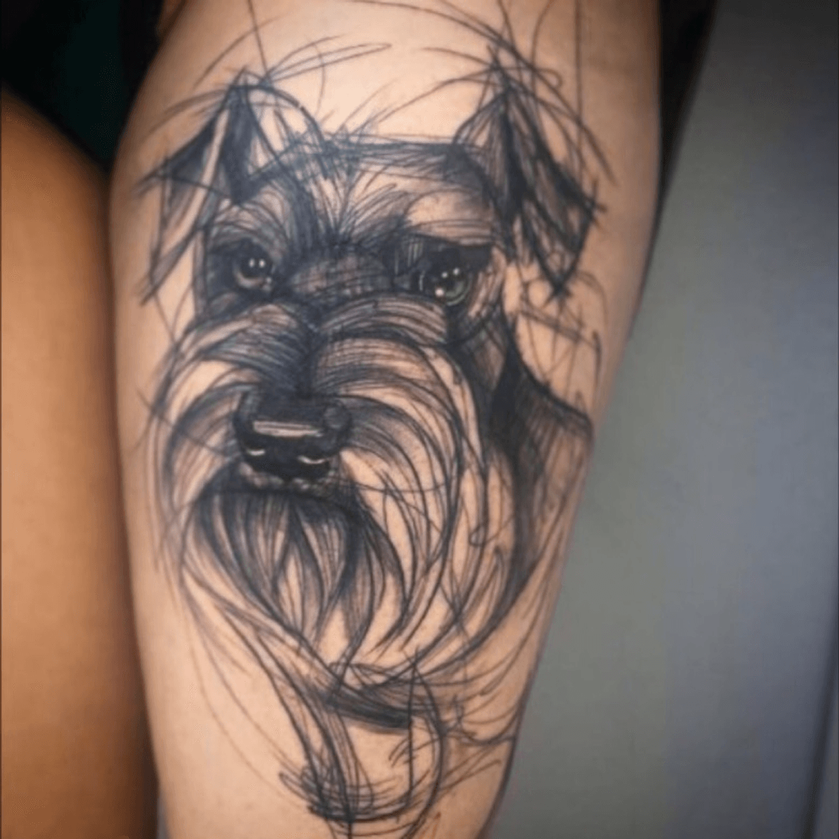 Sintético 116 Tatuagem de schnauzer Bargloria