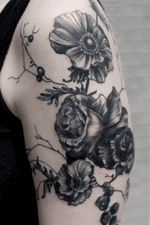 Poppy blackworks vintage floral tattoo #botanical #botanicaltattoo #floral #flower #flowertattoo #leaves #vintagebotanical #aubreymennella #illustrative #IllustrativeTattoo #arm
