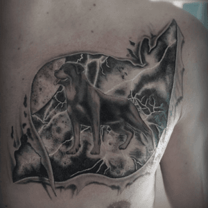 Partly healed.. #tattoo #tattooed #ink #inked #blackandgrey #art #tattooart #dog #storm #lightning #czechrepublic #pavluss 