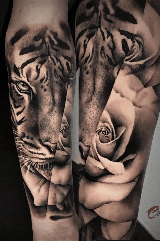 Top 61 Best Tiger Rose Tattoo Ideas  2021 Inspiration Guide  Rose tattoo  design Tiger tattoo images Rose tattoo
