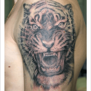 Tiger #tattooartrealistic #tattoo #realistic 