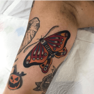 Moth by Al Boy.