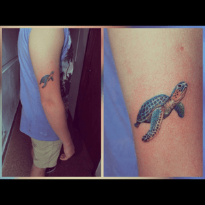 #turtle #color #detailed 