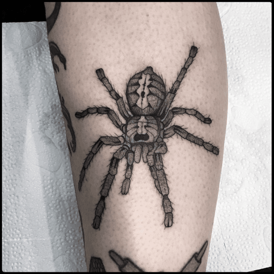 Explore the 50 Best Spider Tattoo Ideas 2018  Tattoodo