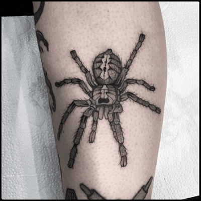 #totemica #tunguska #black #tiger #spider #tarantula #poecilotheria #tattoo #blackworkers #bolognatattooexpo #tattooexpobologna 