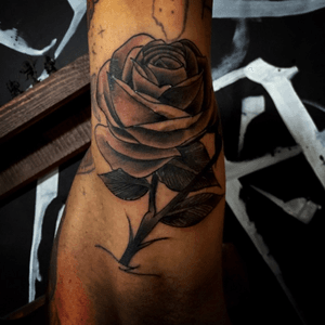 #fineline #blackandgrey #blackwork #rose #traditionaltattoo #oldschooltattoo #tattoo #tatuagem #electricink #caiogarcia #spbrasil