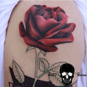 Artist Simona #rose #redrose #flower 