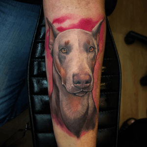 Fun puppy #portrait #tattoos #color #colorportraits #animalportrait #dogs #dogtattoo #systemonetattooproducts #fkirons #cheyennehawk #fusionink #worldfamousink #fkironsspectraedgex #animaltattoos #colorbomb #inkmasterseason7 #inkmaster #spiketv