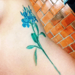 Celestina - April  2016  #flower #flowertatto #blue  