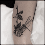 #black #rose #dragonfly #tattoo #blackwork #totemica #ontheroad 