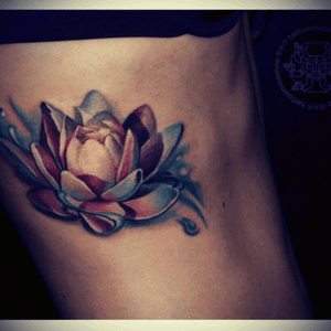 #lotus #flower 