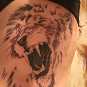 Lion roaring 