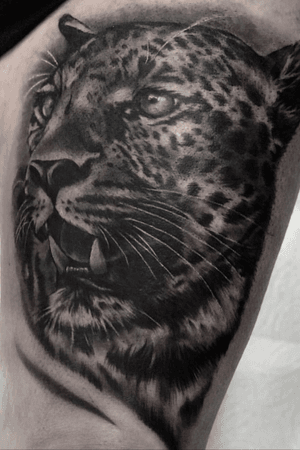 #leopard #cheetah #cat #tattoooftheday #realism #blackandgrey 