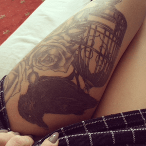  #crow #birdcage #tattooed #tattooedwoman #legs #blackandgrey #roses #tattoodobabes 
