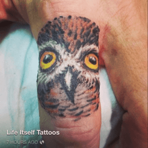 Got the most amaxing owl finger tat by Kathy at life itself tattoos in Barrie ontario ❤️❤️❤️