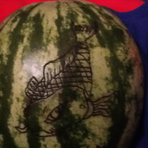 Koi fish on a watermelon