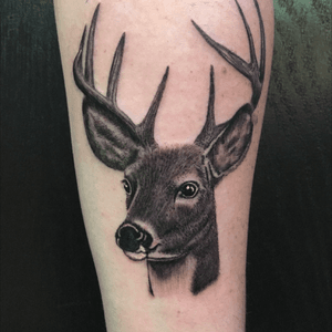 Forearm tattoo done by Francisco Ordonez #calgary #deer #deertattoo #realistic #franciscoordonez #calgarytattoo 