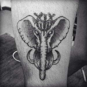 OWN ELPHANT! 🤘🏻✍🏻💀 #blackworktattoo #elephant #dootwork #tattoo #ink #blackwork #linework 