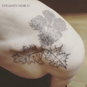 #thistle on shoulder #engraving / #woodcut #stigmatenoir #tattooistparis #frenchtattooist #tatoueur #tatoueurparis #botanic #occult #magickplant #chardon #engraved #lines #gravure #flower #plant 