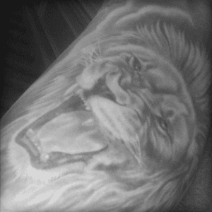 Bicep piece for daniel and the lions den