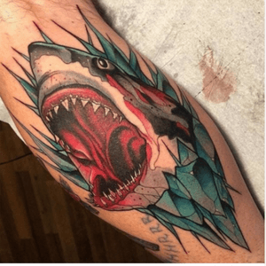 Awesome shark by Nik the Rookie