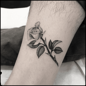 #totemica #tunguska #black #rose #flower #thorns #fineline #tattoo #blackworkers #holdfasttattoostudio 