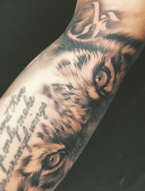 Tiger eyes - by GabVNovaTattoo (IG) 