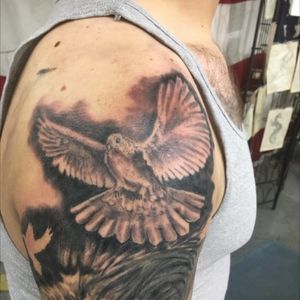 Part of a cover up. Dove. Relegious tattoo. In progress