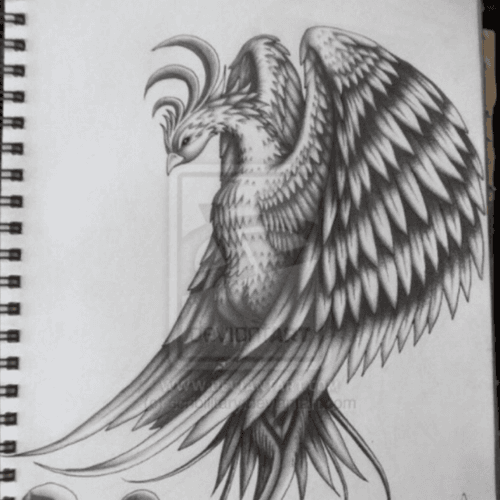 #megandreamtattoo Phoenix to depict my brush with death