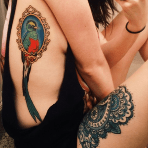 Quetzal bird #colors #bird 