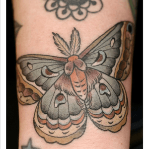 my absolute next piece. #moth #color #pinterest 